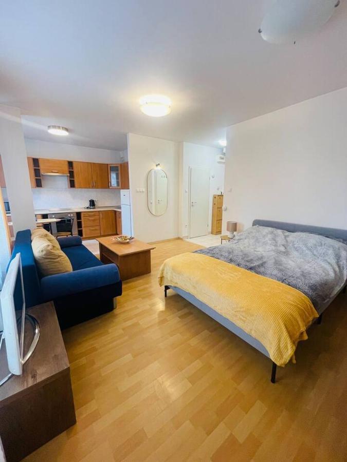 Central Studio Close To Andrassy Avenue For 4 Persons Budapesta Exterior foto